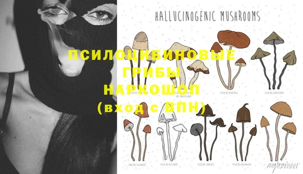 наркотики Богданович