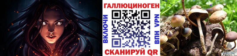 omg онион  Мезень  Псилоцибиновые грибы Psilocybine cubensis 